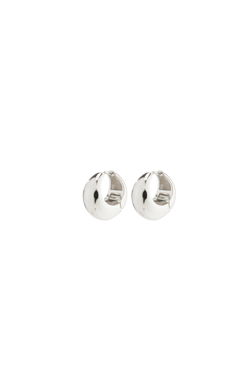 IOANNA SILVER PLATED EARRINGS