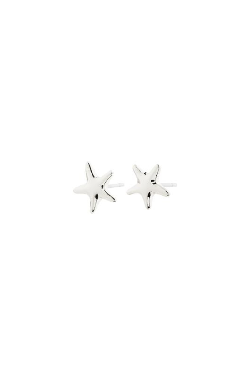 ANDR SILVER PLATED EARRINGS