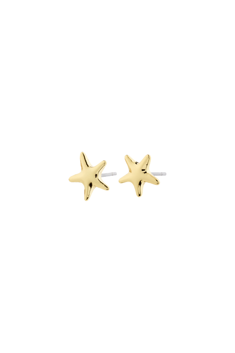 ANDR GOLD PLATED EARRINGS