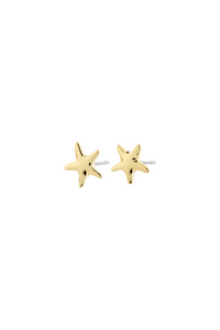 ANDR GOLD PLATED EARRINGS