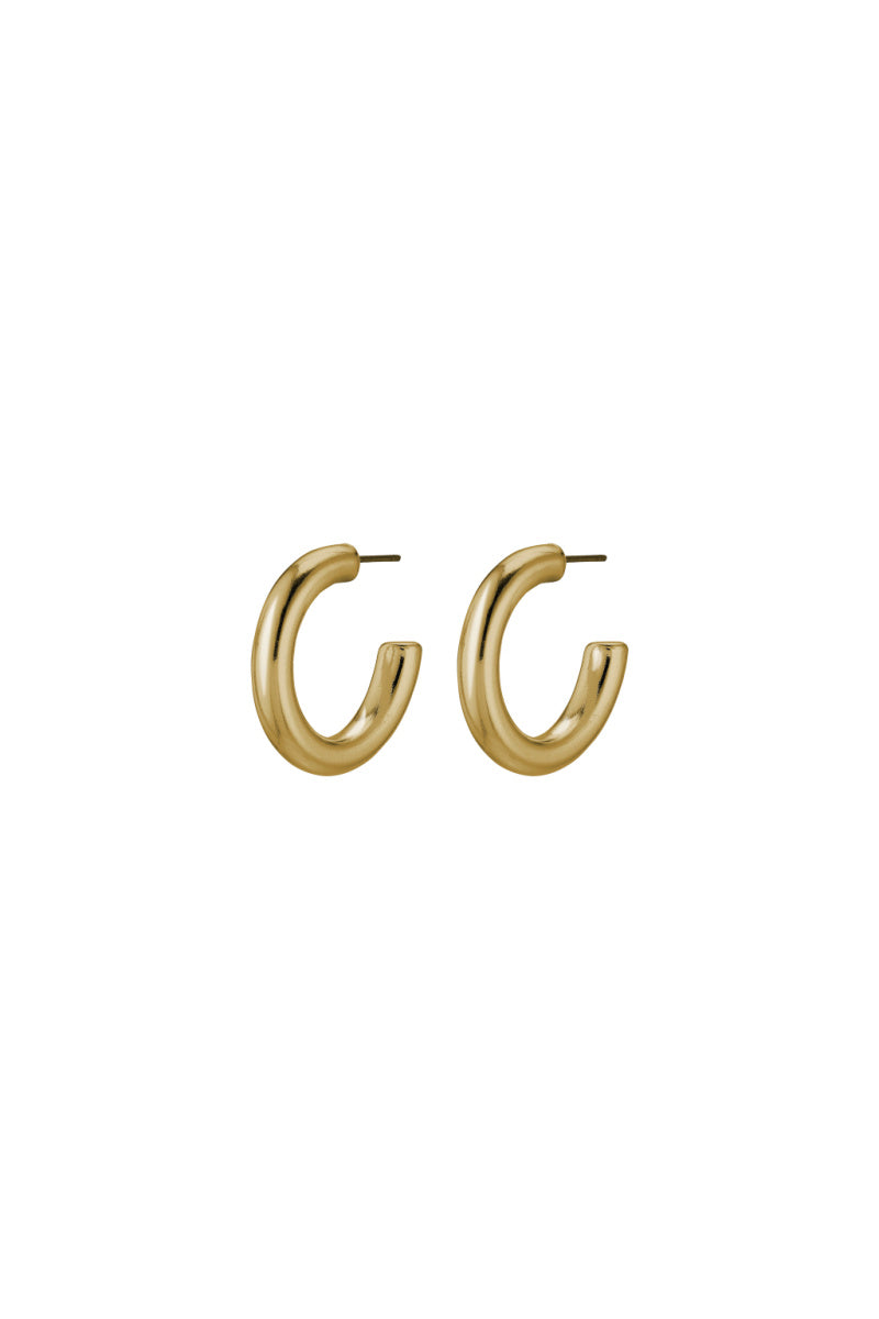 DOLAG GOLD PLATED EARRINGS