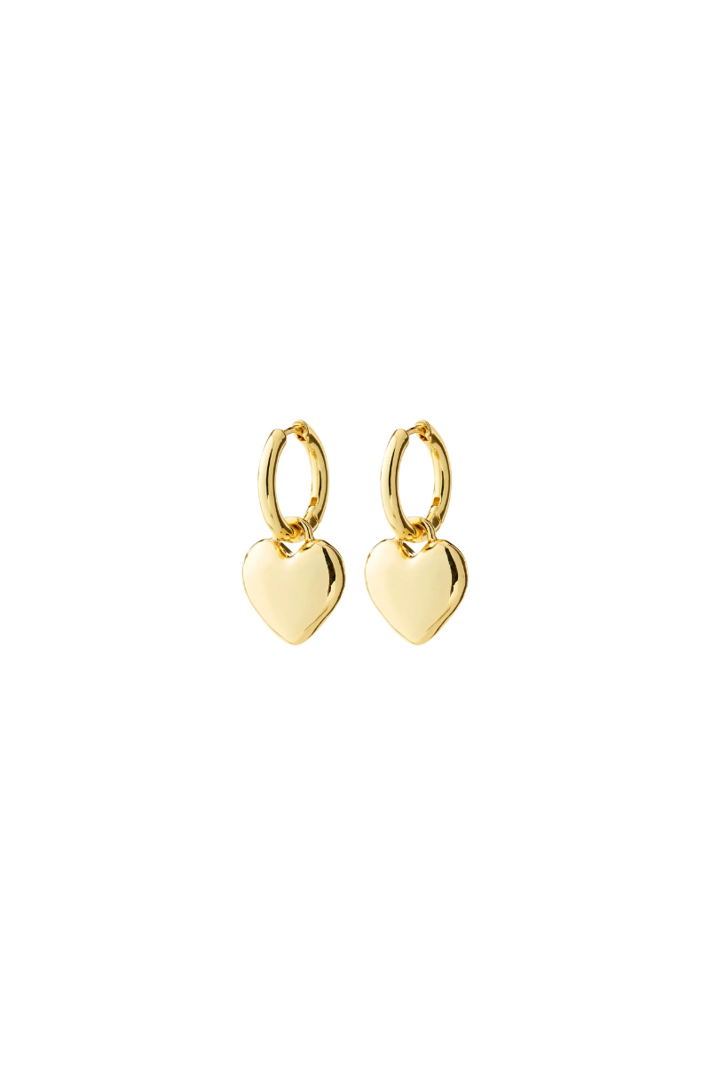 ARIEN GOLD PLATED EARRINGS