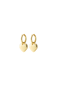ARIEN GOLD PLATED EARRINGS