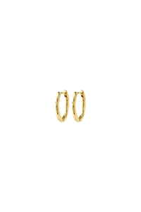 NOW GOLD PLATED EARRINGS
