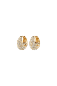 FOCUS GOLD PLATED EARRINGS
