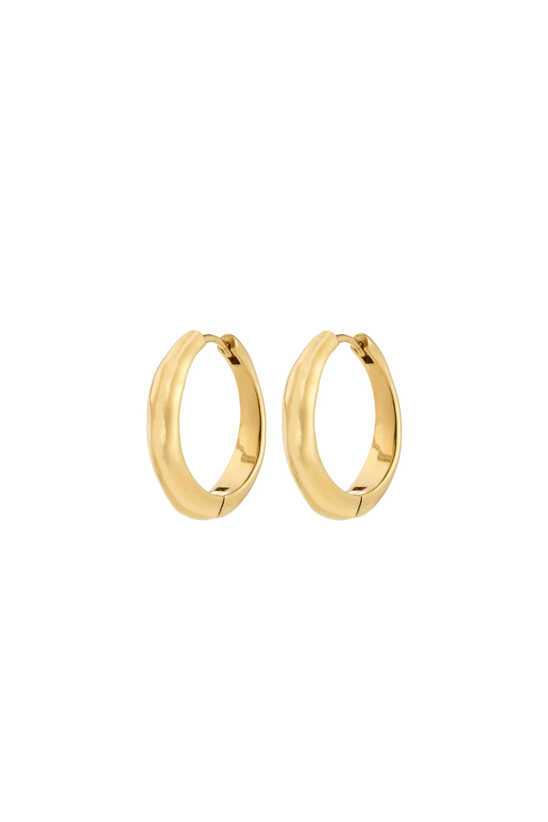 HARRISON GOLD PLATED EARRINGS