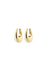 AUTUMN GOLD PLATED HOOP EARRINGS