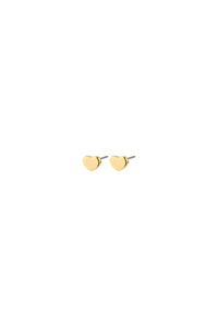 ARIN GOLD PLATED EARRINGS