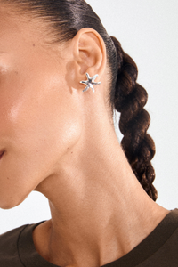 PRISM SILVER PLATED EARRINGS