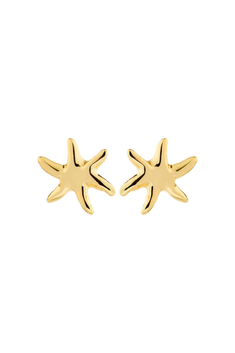 PRISM GOLD PLATED EARRINGS