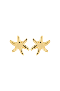 PRISM GOLD PLATED EARRINGS