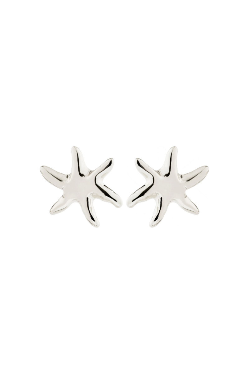 PRISM SILVER PLATED EARRINGS