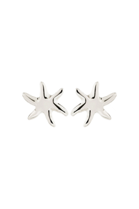 PRISM SILVER PLATED EARRINGS