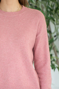 HIGH STANDARDS SWEATER-PI