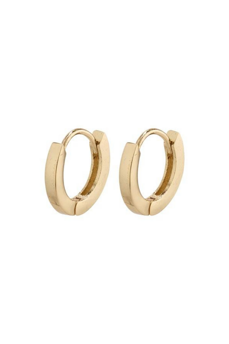 ARNELLE GOLD PLATED EARRINGS